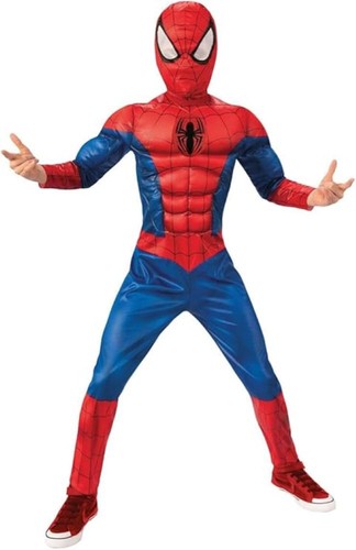 Costume spiderman black line - costume,